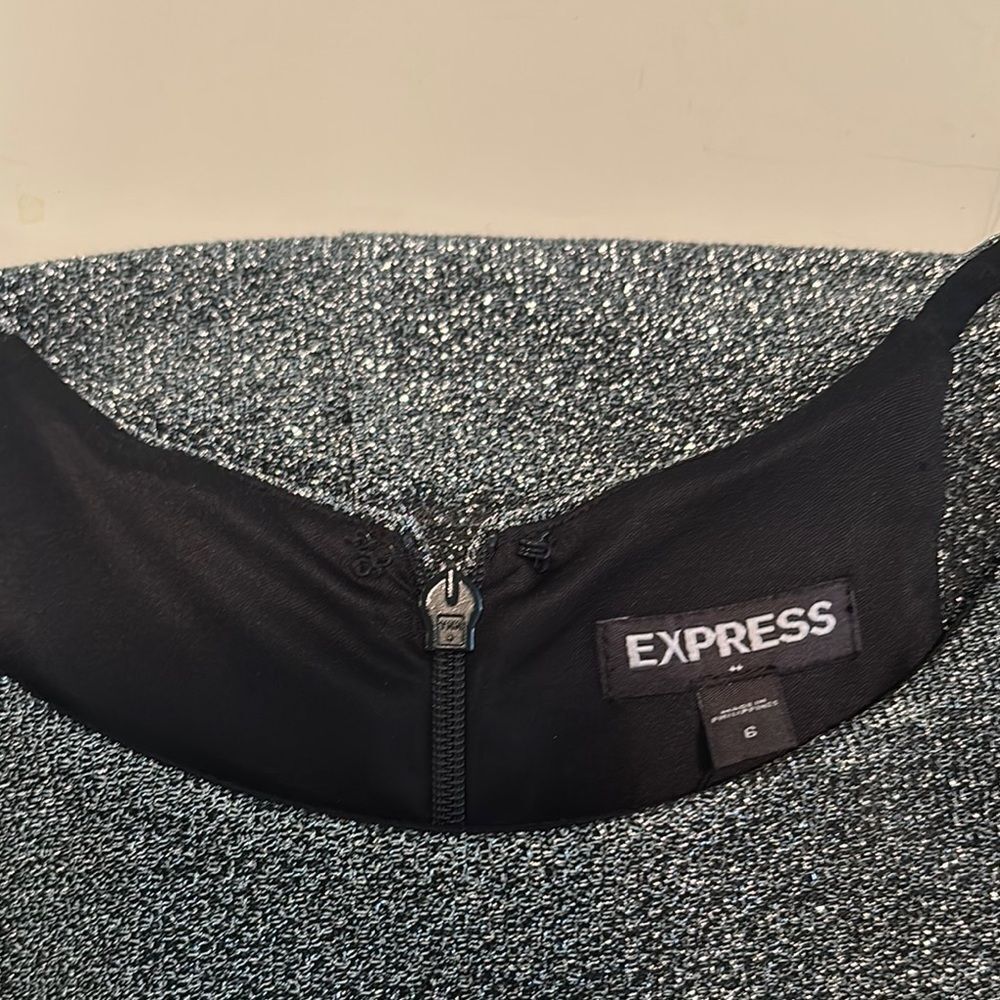 Express Sparkling Silver Dress